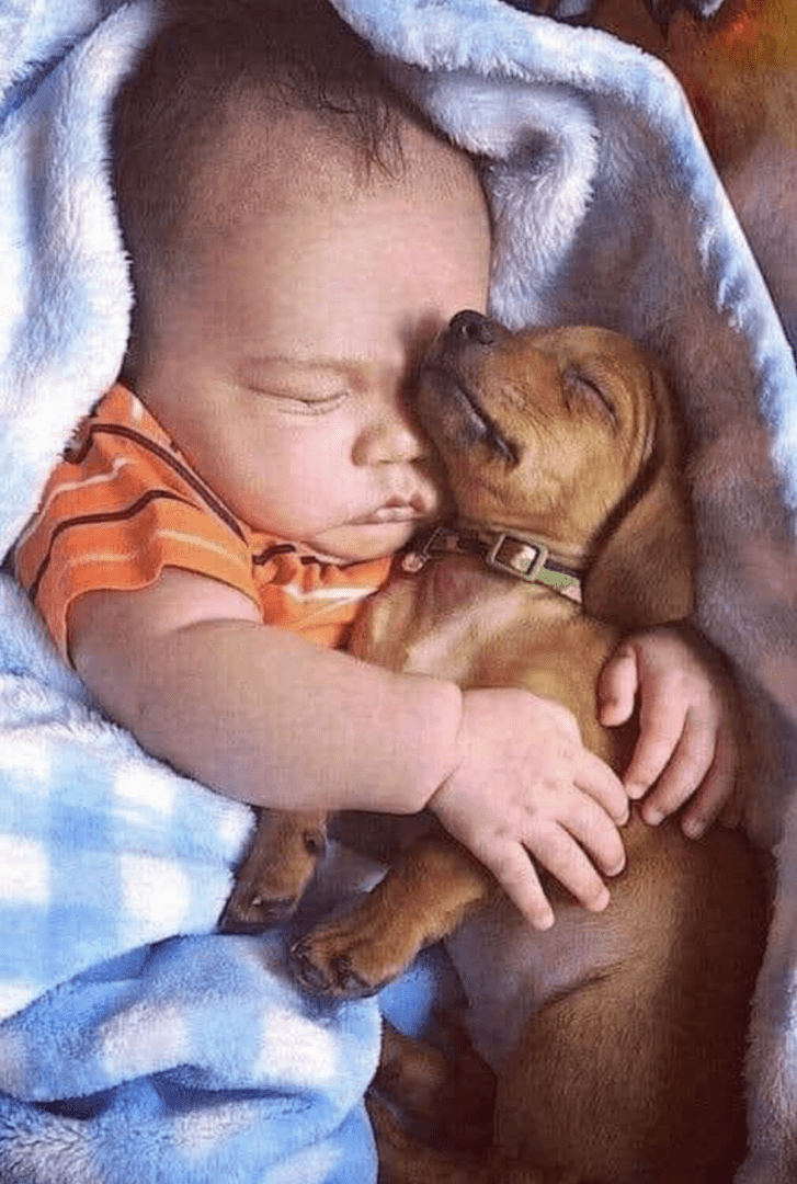 A baby sleeping with his / her puppy.